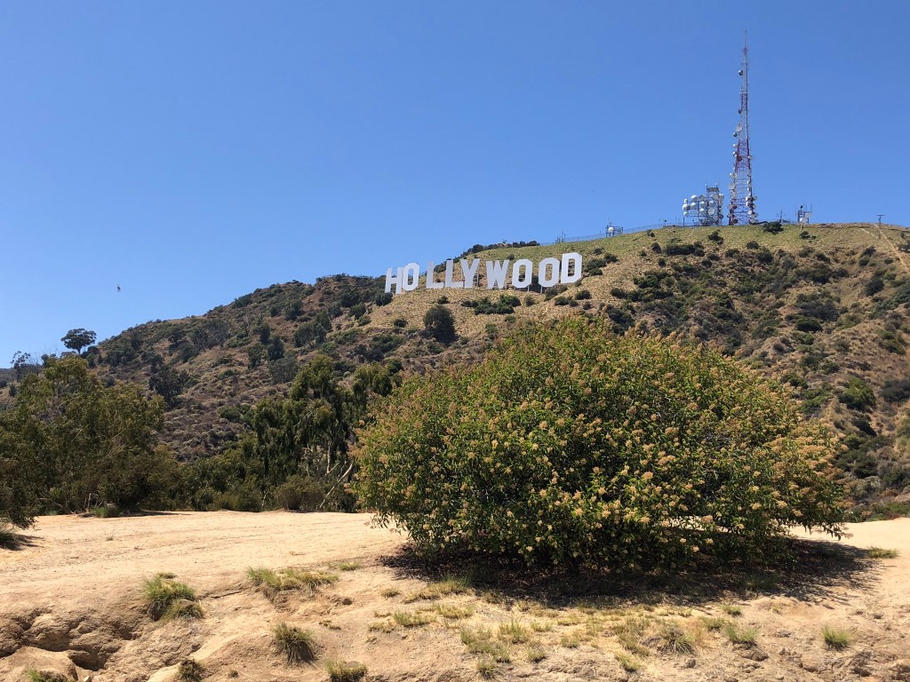 HOLLYWOOD